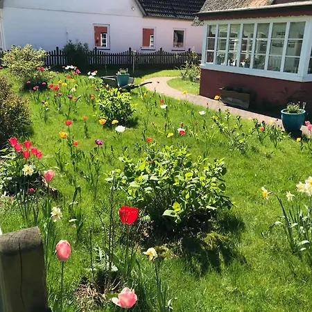 Апартаменты Hues Sanskiin *brombelbei* *