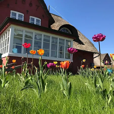 Апартаменты Hues Sanskiin *brombelbei* *