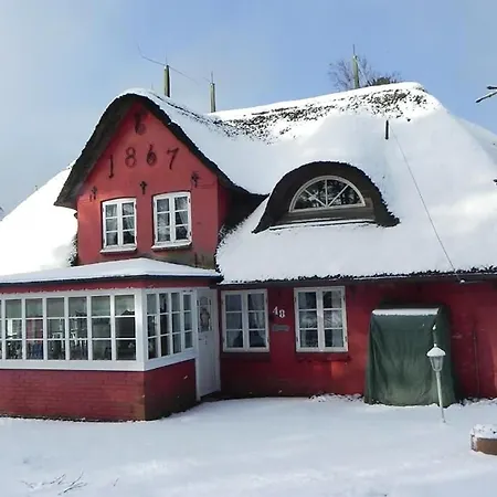 Hues Sanskiin *brombelbei* Suddorf