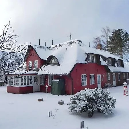 Hues Sanskiin *brombelbei* *